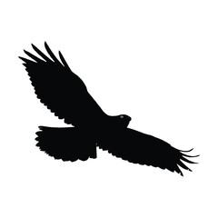 Powerful Silhouette of a Bird of Prey in sky Flight. Symbol of Eagle vector, Eagle Icon, Eagle Logo, Eagle Drawing.
