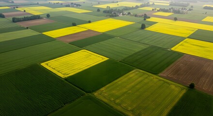 An aerial view of a neatly arranged patchwork of different crop fields. Farming and Agriculture