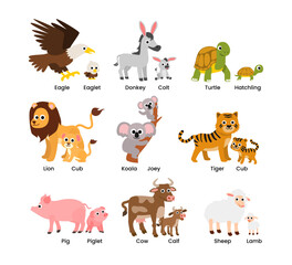 Obraz premium rawSet of Cute animals mom and baby cartoon set collection poster education, parent and baby animal couples set eagle, eaglet, donkey, colt, lion, cub, pig, piglet, cow, calf, sheep, lamb.