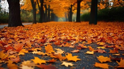 Autumn Leaves background depth of field wallpaper