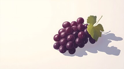 A Single Bunch Of Dark Purple Grapes With Leaves