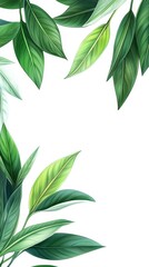 Obraz premium Vibrant Clean Illustration of Fresh Matcha Leaves in Green Tones