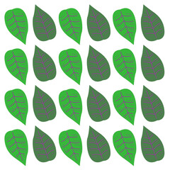 SPRING SUMMER LEAVES DESIGN PATTERN TEXTURE BACKGROUN WALLART VECTOR