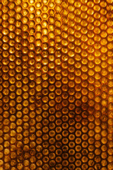 corrugated metal texture. golden texture of iron with holes