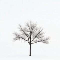 Lone tree, winter snow, minimalist landscape, serenity