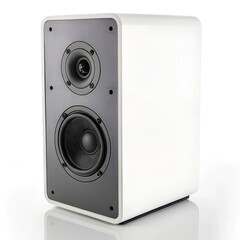 Obraz premium speaker on white background