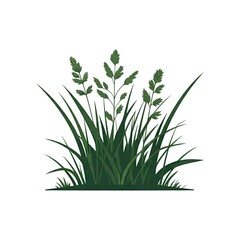 Fototapeta premium wild green grass, illustration isolated white background