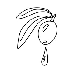 An olive squeezes out a drop of olive oil. An isolated illustration. Squeeze olive oil from a whole olive with leaves. An environmentally friendly cooking product. The symbol of a natural product