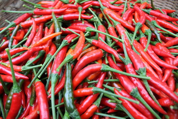 A group of red hot chili peppers and green hot chili peppers are ripe for bring to be a ingredient.