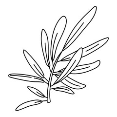 The olive branch is outlined. Isolated flat illustration. An environmentally friendly product with olive oil content. A symbol of a natural product. Contrasting outline for coloring