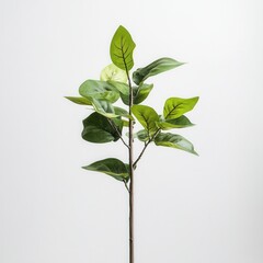 Obraz premium Green artificial plant stem, studio shot, white background, home decor