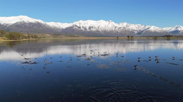 Beautiful pristine mountain reflection by following birds scene, Laguna Terrapl&eacute;n Lake, Trevelin, Argentina.