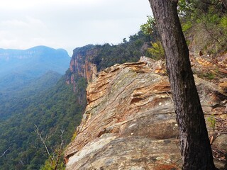 Cliffside View with Tree and Layers of Rock
