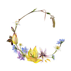 Spring flowers branch, blue hepatica forget-me-not, white forest anemone, trout lily, yellow tulip, corydalis hand drawn in watercolor. Garland wreath illustration. Wedding, florist shop, stationery
