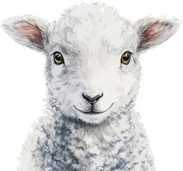 Obraz premium Cute Little Sheep Watercolor Vector Illustration.