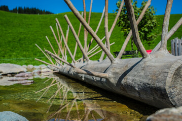 Wooden structure resembling a large skeletal frame placed in a serene natural setting, reflecting...
