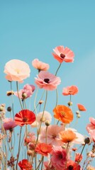 Fototapeta premium Surreal nature flower outdoors blossom.