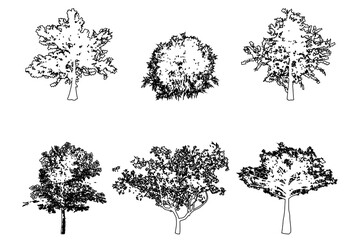 Set or collection of trees as a black line drawing silhouette on white background. Concept or conceptual vector for nature, planet, ecology conservation, strength, endurance and  beauty