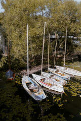 Obraz premium Bateaux à voile Stockholm