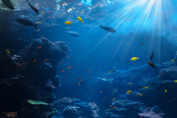 Tropical Scene With Sea Life In The Reef, underwater view.
