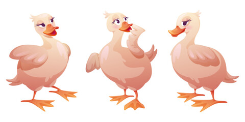 Cute duck character set - plump pink waterfowl with expressive eyes and orange webbed feet shown from different angles. Cartoon bird mascot with various poses for children animation or game design.