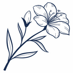 minimal botanical graphic sketch drawing, trendy tiny tattoo design, floral elements vector illustration