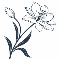 minimal botanical graphic sketch drawing, trendy tiny tattoo design, floral elements vector illustration