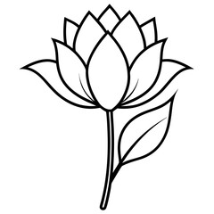 minimal botanical graphic sketch drawing, trendy tiny tattoo design, floral elements vector illustration