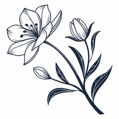 minimal botanical graphic sketch drawing, trendy tiny tattoo design, floral elements vector illustration