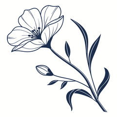 minimal botanical graphic sketch drawing, trendy tiny tattoo design, floral elements vector illustration