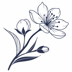 minimal botanical graphic sketch drawing, trendy tiny tattoo design, floral elements vector illustration