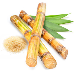 Sugarcane cuts and pile of brown sugar isolated on white background.
