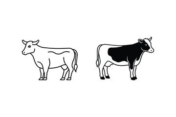 Show Steer Vector Illustration - Stock Show & Livestock Judging Design

