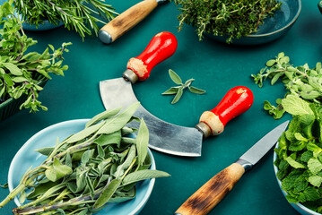 A vibrant assortment of fresh culinary herbs.