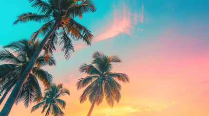 Tropical beach sunset palm trees postcard