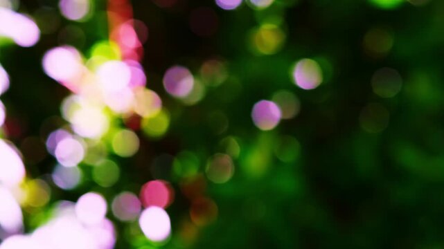 Natural bokeh light creating a blurred effect with multiple circles of various sizes forming an abstract multidimensional pattern in beautiful colors against a green background