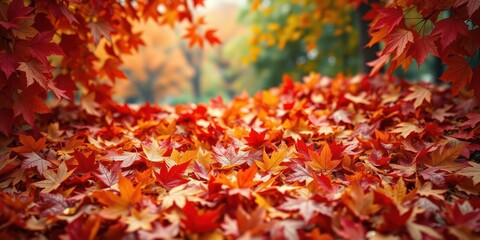 Vibrant backdrop of fallen autumn leaves in red, orange, and yellow hues, outdoors, environment