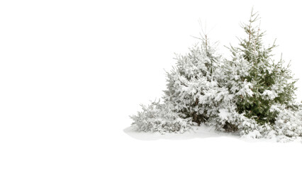 Snowy Mountain Range, Snow-covered bushes on transparent background.