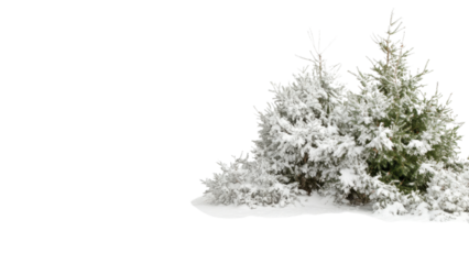 Snowy Mountain Range, Snow-covered bushes on transparent background.