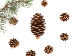 Fototapeta premium A single pine cone with natural brown tones, centered on a white background. The texture and symmetry make it a versatile design element.