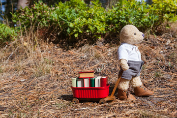 Small Mobile Library Service - Little teddy bear with his cart full of miniature books on the road (copy space)