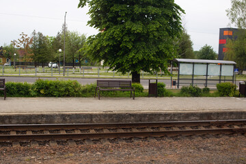 A train station featuring a prominent tree beautifully in the background