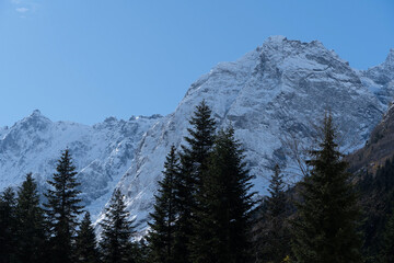 Snow-capped peaks with majestic blue slopes rise above rugged slopes of North Caucasus mountain range. Picturesque pine and spruce forests grow at foot of mountains with eternal glaciers. Dombai.