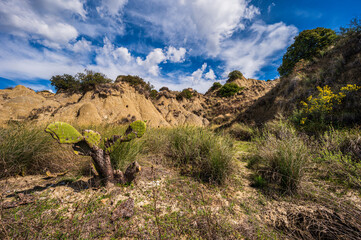 badlands sceneries inside the badlands national park, Matera province, italy
