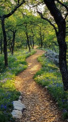 Fototapeta premium In the early morning light, a winding trail meanders through a lush forest, framed by tall trees and blooming wildflowers. Nature awakens, inviting exploration and tranquility