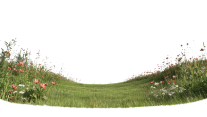 Sunset Over Mountains concept. Lush green meadow with colorful wildflowers on transparent background.