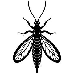 mayfly Ephemeroptera silhouette 