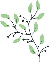 Decoration Floral Botanical Branches
