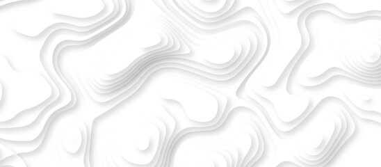 Realistic papercut decoration texture with wavy layers. White wave paper curved reliefs abstract background. Abstract white paper cut background with lines. Topography line map. Vintage outdoors style