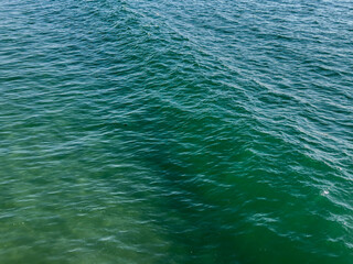 Swell in the Pacific Ocean